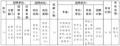 招聘岗位和名额