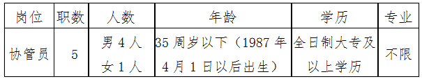 招聘岗位、职数及条件 