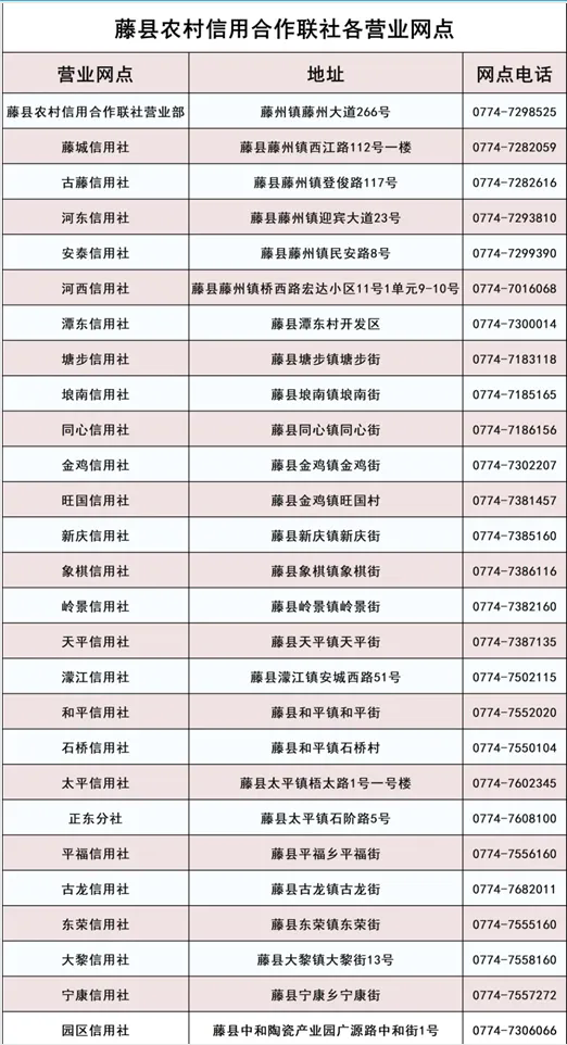 2025年藤县农信社寒假社会实践招募公告